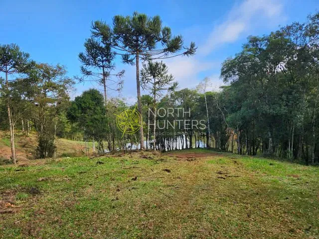 Terreno com 20631m², à venda, no bairro Ximbuva em Campo Alegre