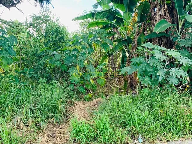Terreno com 250m², à venda, no bairro Vitória Vale II em Pindamonhangaba