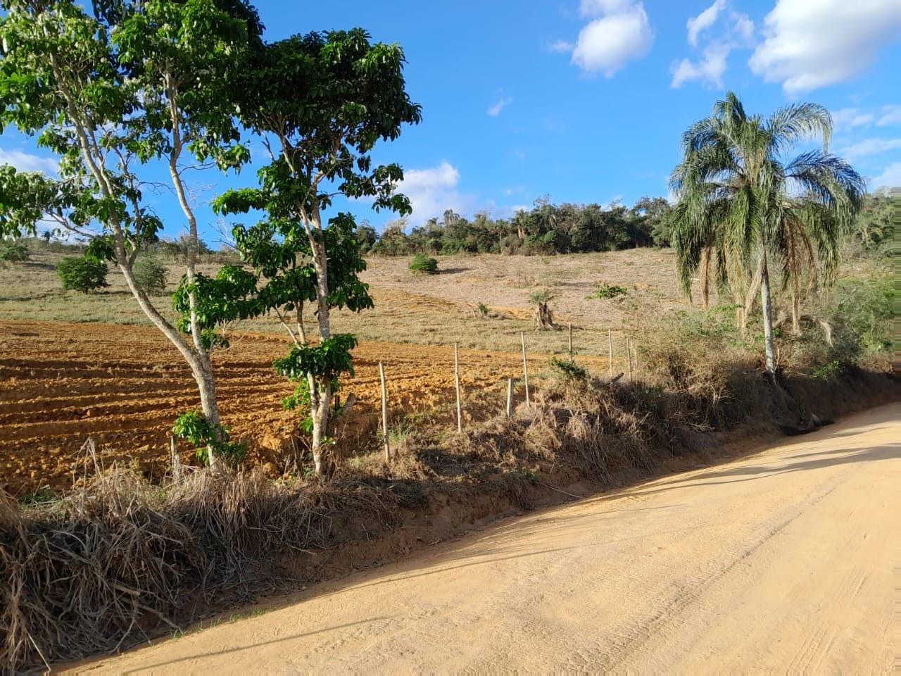 Terreno à venda, Zona Rural, Rio Pomba, MG - foto 3