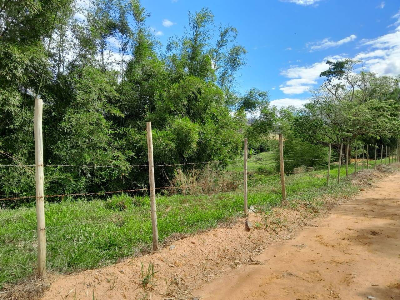 Terreno à venda, Zona Rural, Rio Pomba, MG - foto 6