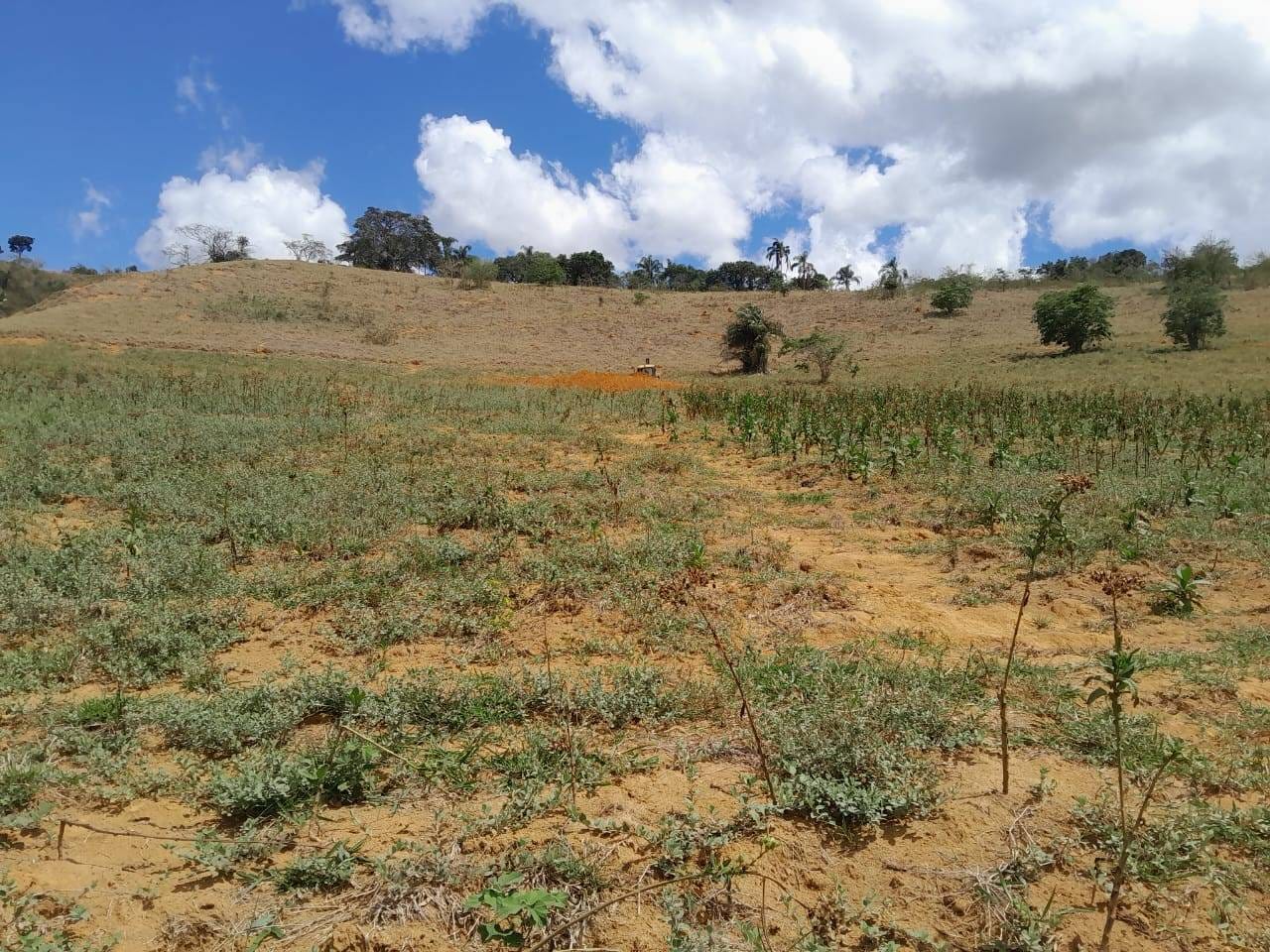 Terreno à venda, Zona Rural, Rio Pomba, MG - foto 7