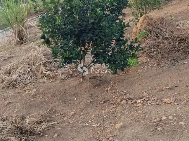 Terreno com 1030m², à venda, no bairro Granjeamento Campo Belo em Chácara