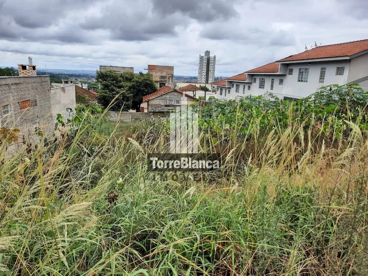 Terreno, 567 m² - Foto 5