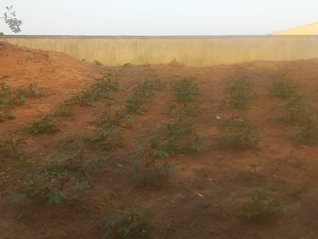 Terreno com 1090m², à venda, no bairro Rasa em Cabo Frio