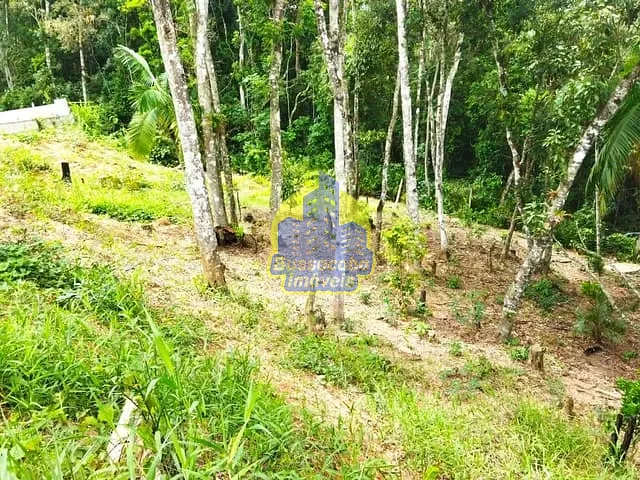 Terreno com 1000m², à venda, no bairro Paiol do Meio em São Lourenço da Serra