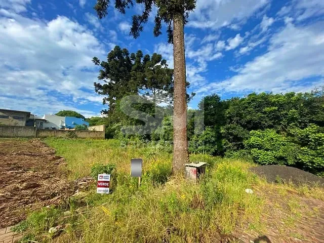Terreno com 390m², à venda, no bairro Santo Antônio em Chapecó