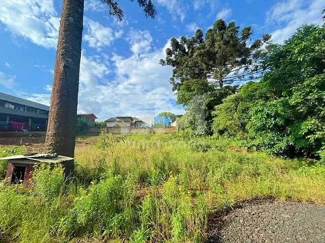Terreno com 390m², à venda, no bairro Santo Antônio em Chapecó