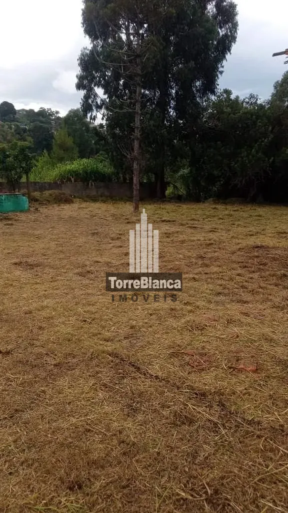 Terreno, 510 m² - Foto 4