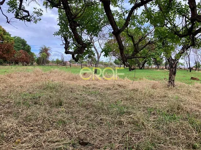 Terreno com 8114m², à venda, no bairro Lagoa Feia em Formosa