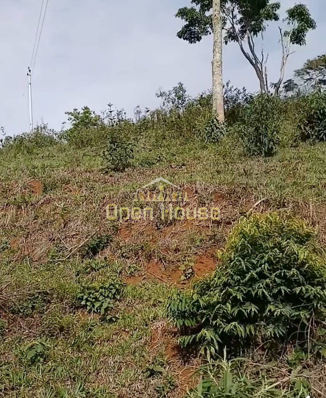 Terreno, 329 hectares - Foto 8