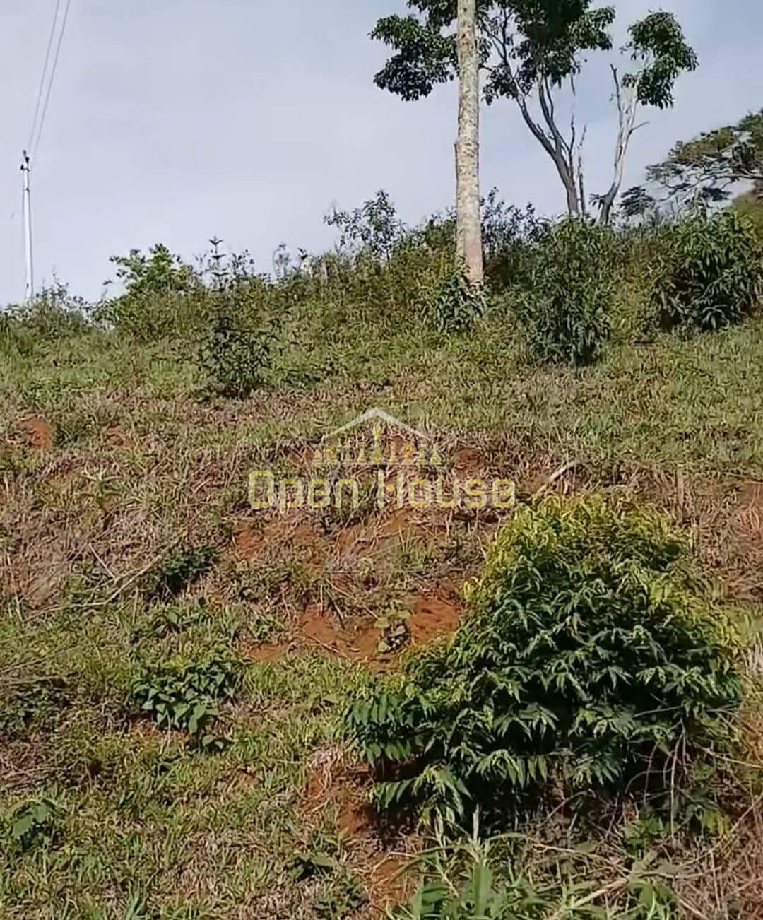 Terreno, 329 hectares - Foto 4