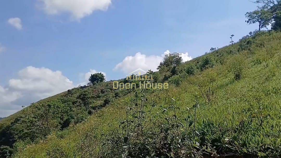 Terreno, 329 hectares - Foto 5