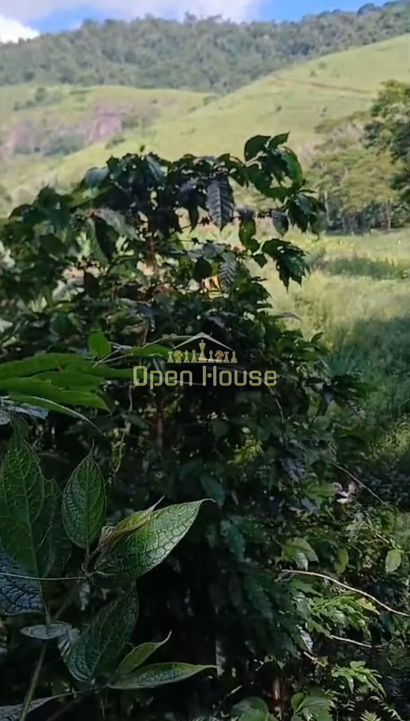 Terreno, 329 hectares - Foto 7