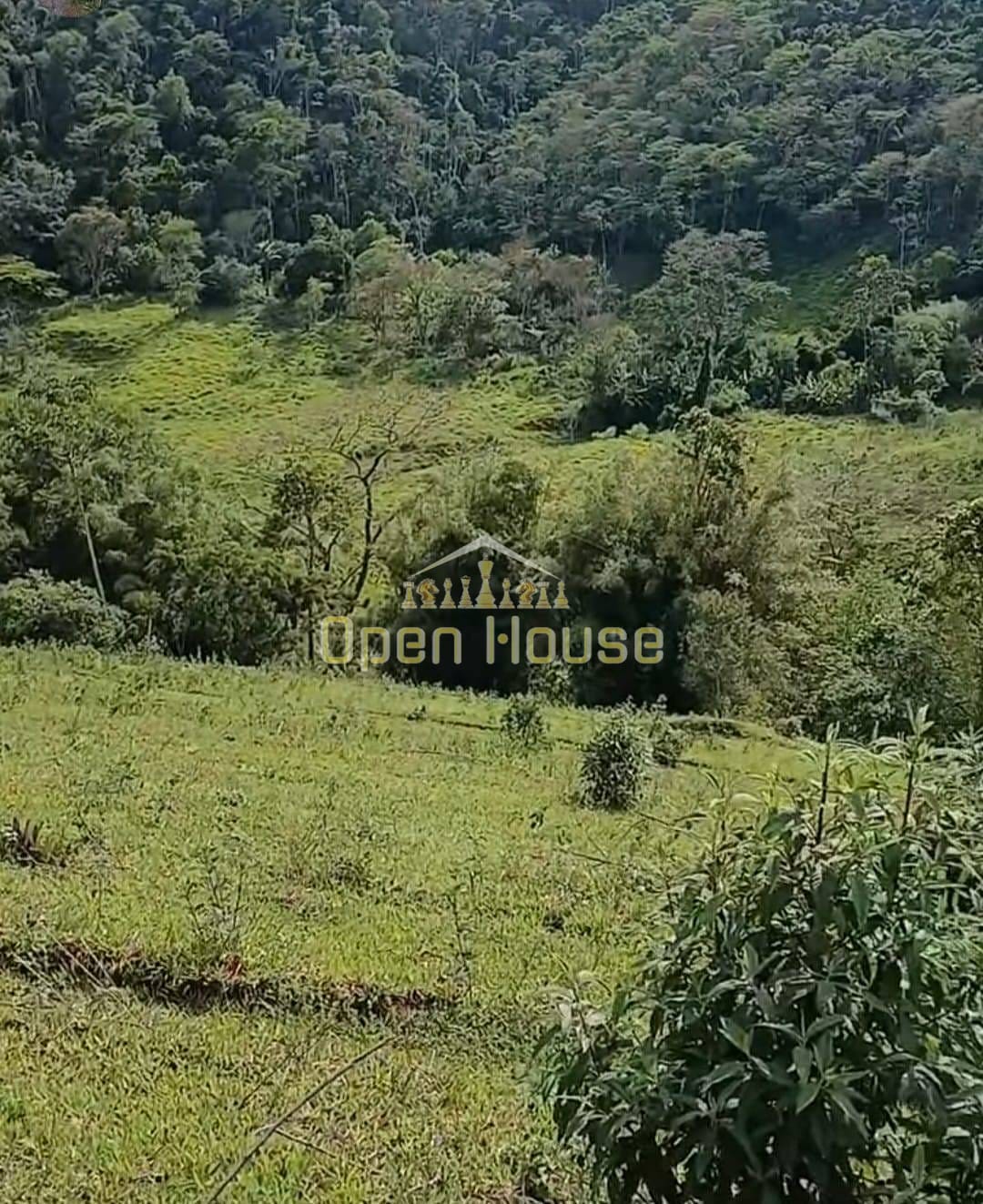 Terreno, 329 hectares - Foto 2