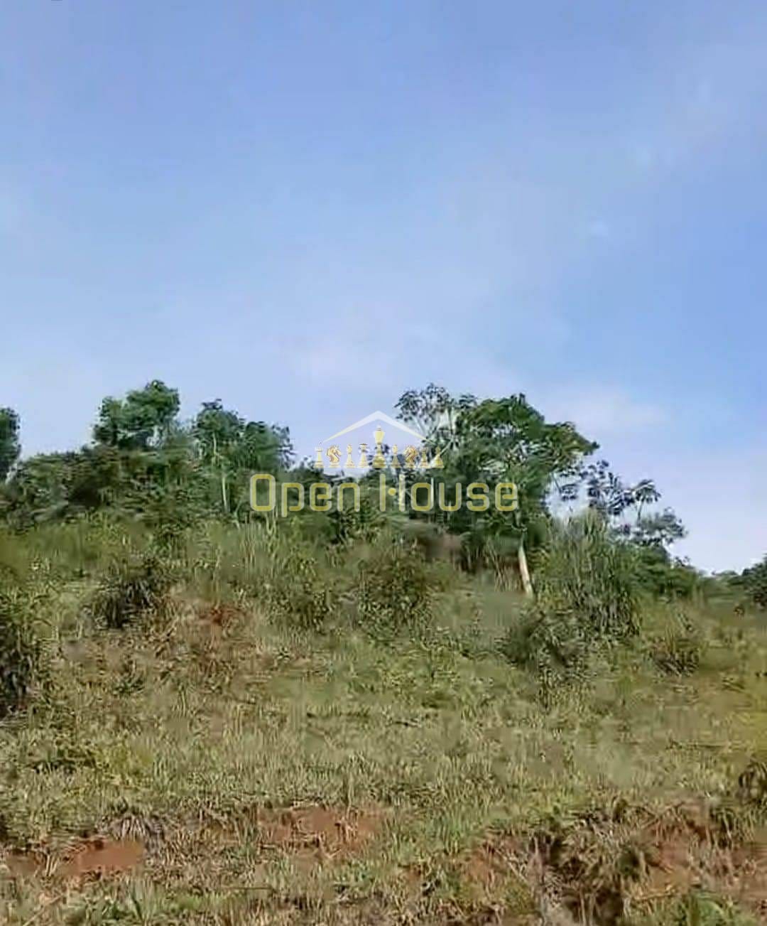 Terreno, 329 hectares - Foto 3