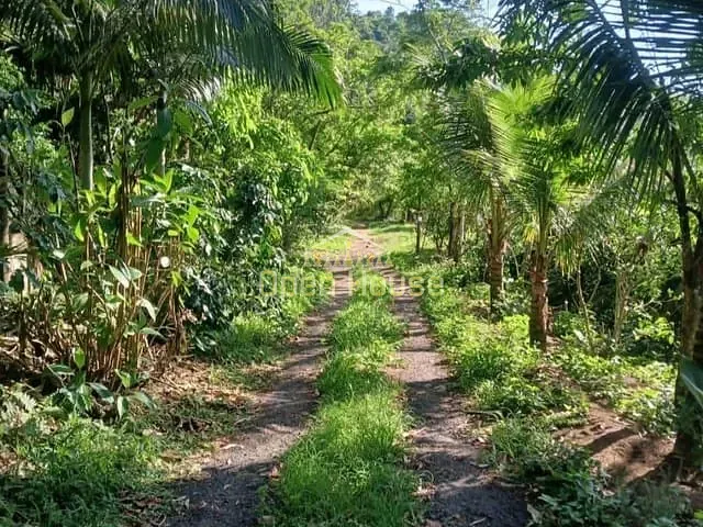 Terreno com 3289137m², à venda, no bairro Rio Claro em Rio Claro