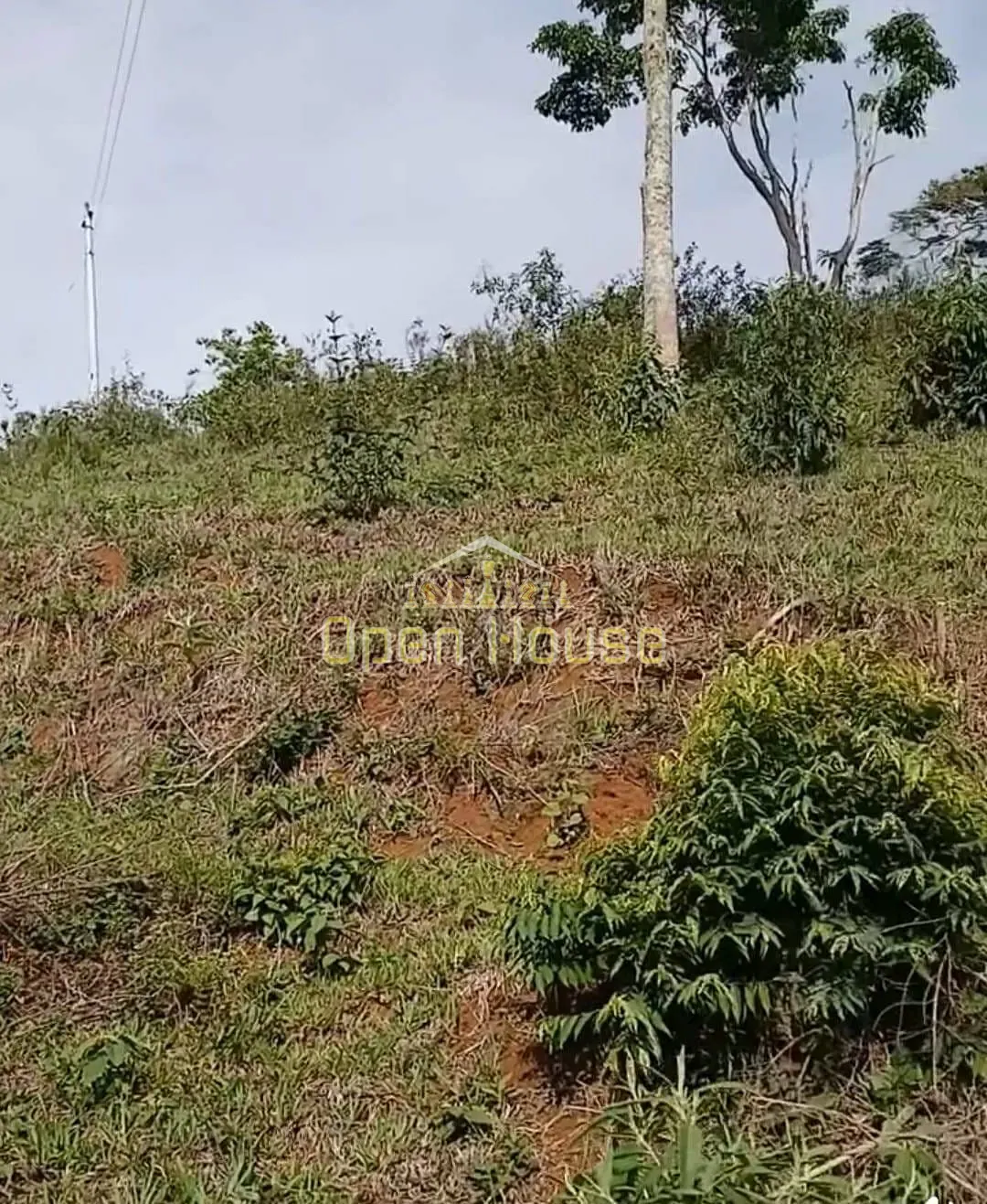 Terreno, 329 hectares - Foto 8