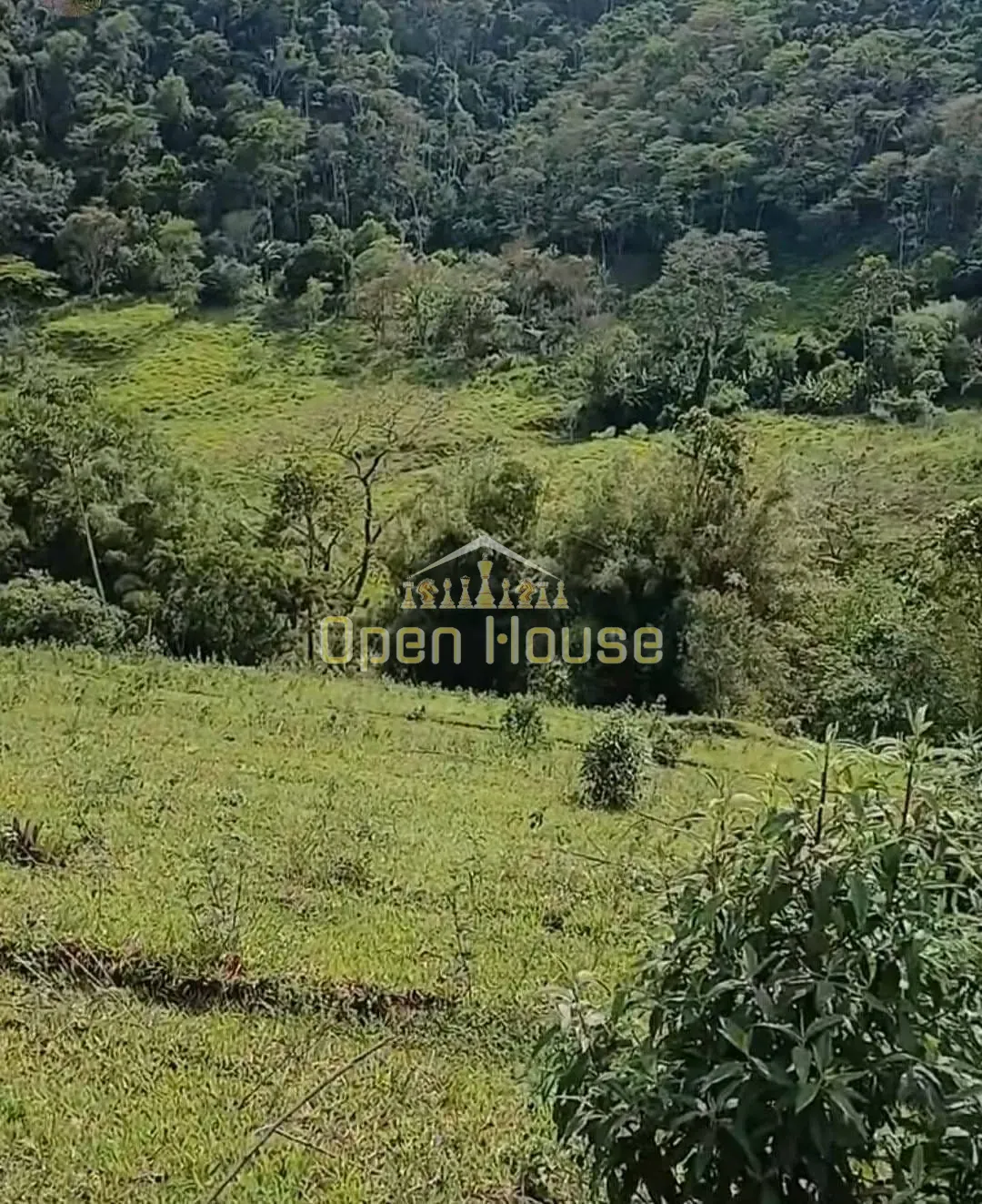 Terreno, 329 hectares - Foto 2