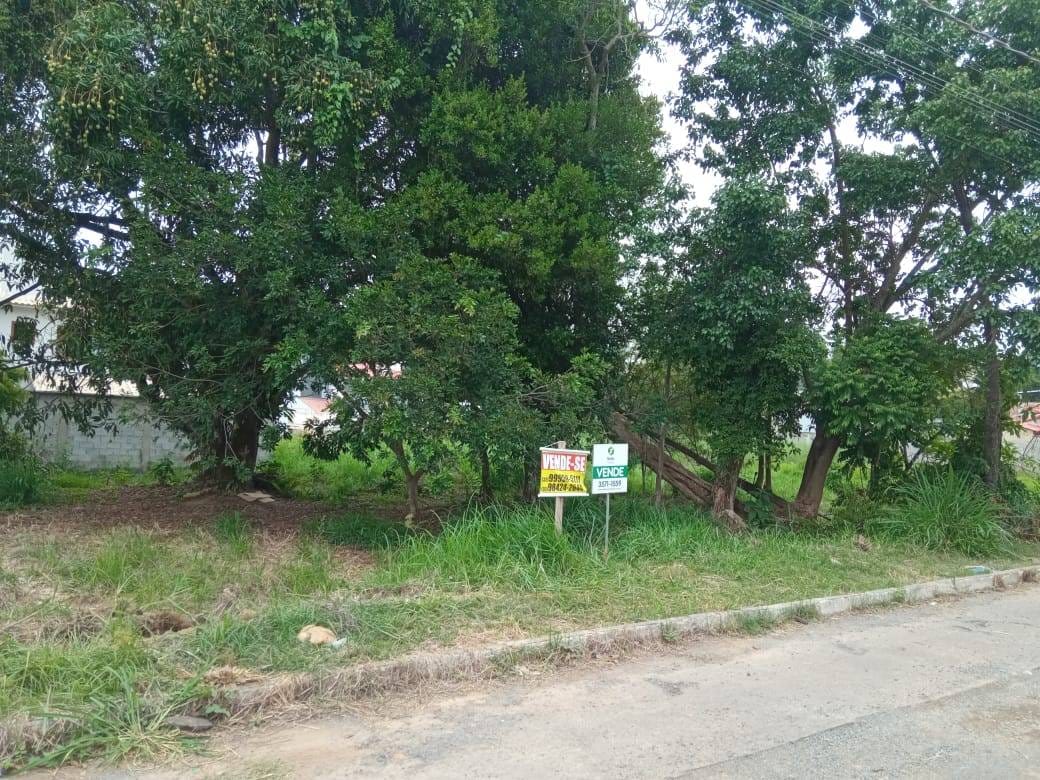 Terreno à venda, São Luiz, Rio Pomba, MG - foto 3