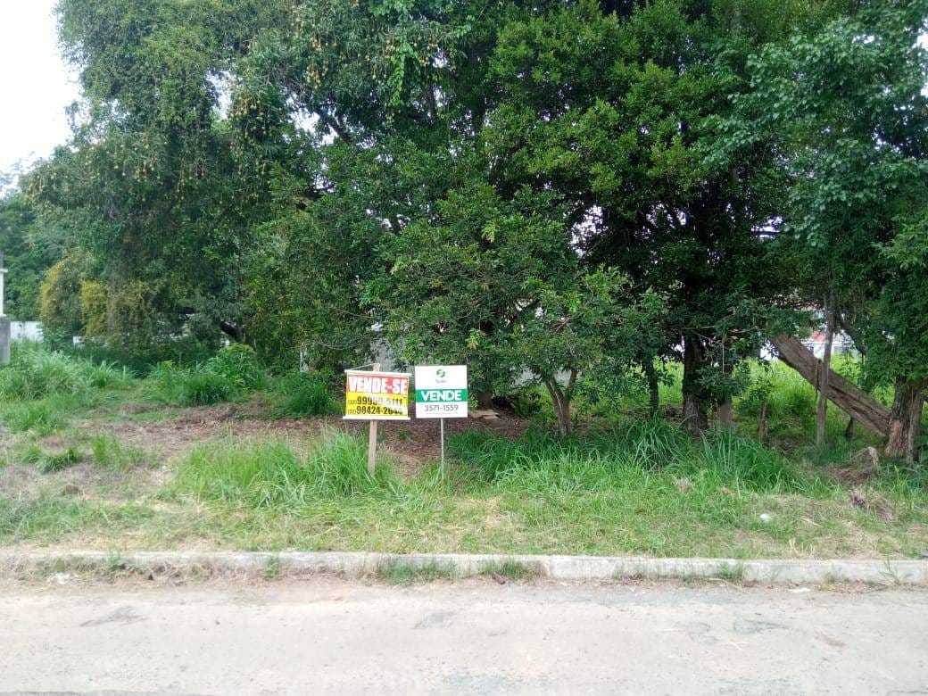 Terreno à venda, São Luiz, Rio Pomba, MG - foto 6