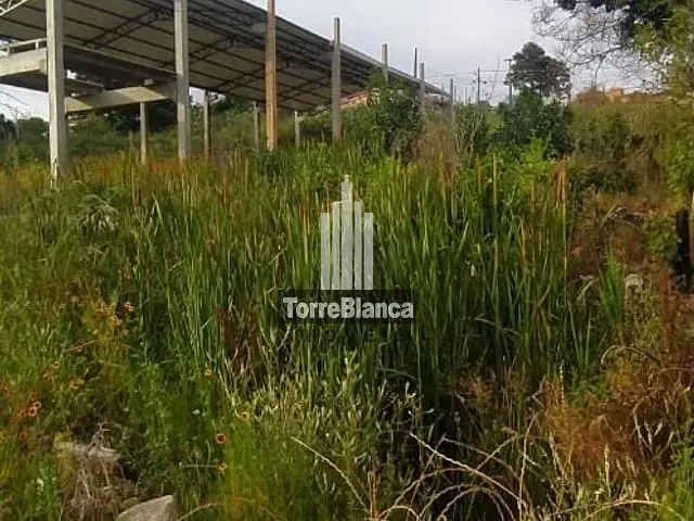 Terreno com 413m², à venda, no bairro Contorno em Ponta Grossa