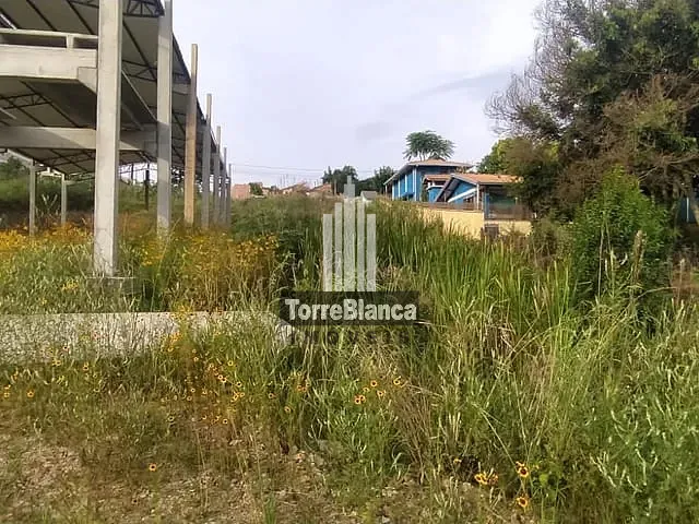 Terreno com 413m², à venda, no bairro Contorno em Ponta Grossa