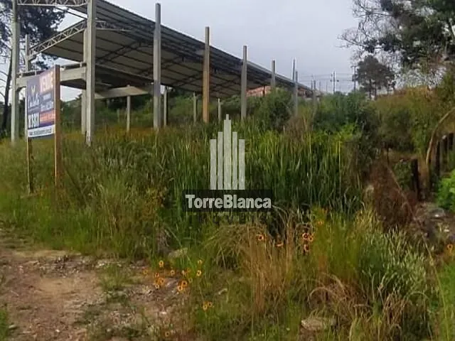 Terreno com 413m², à venda, no bairro Contorno em Ponta Grossa
