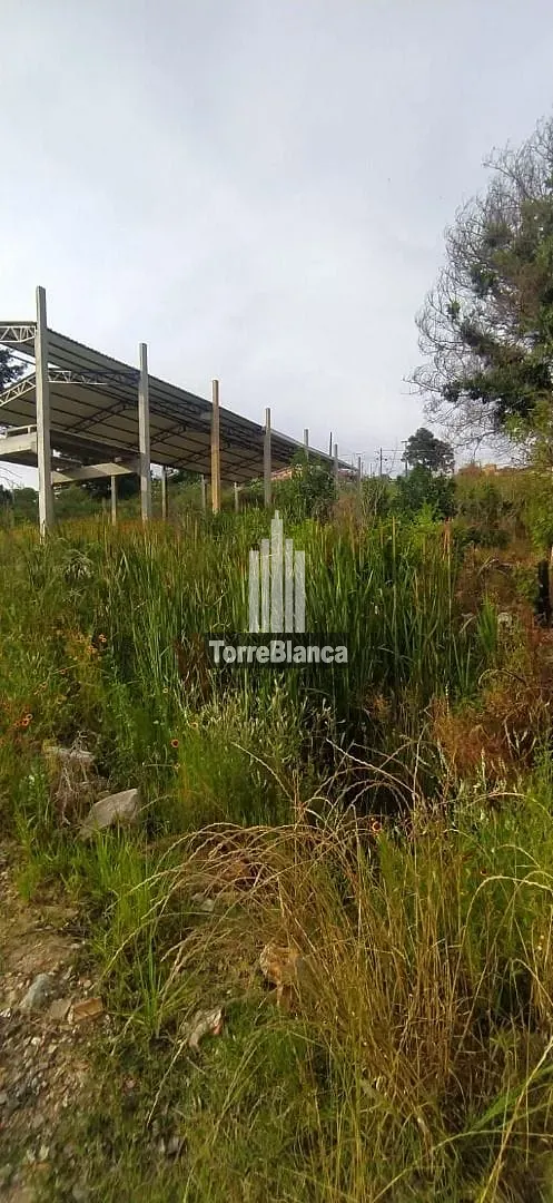 Terreno, 412 m² - Foto 2