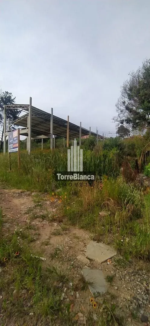 Terreno, 412 m² - Foto 5