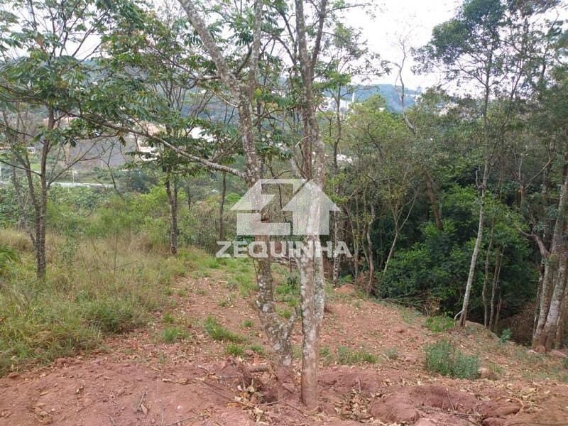 Terreno, 1005 m² - Foto 7