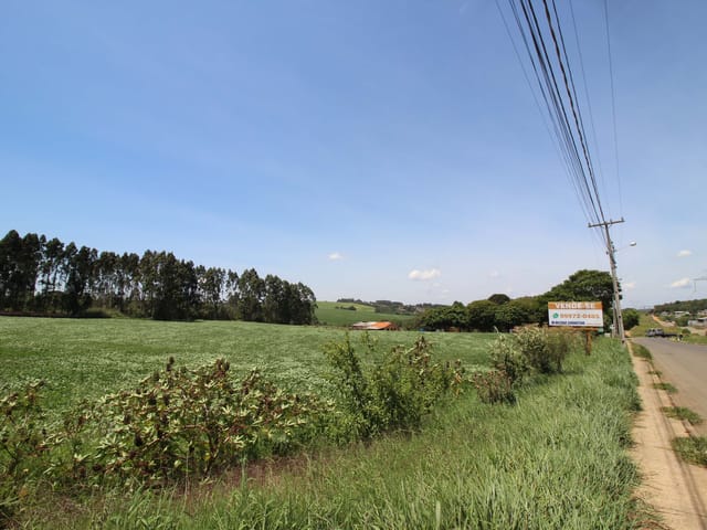Terreno com 21561m², à venda, no bairro Chapada em Ponta Grossa