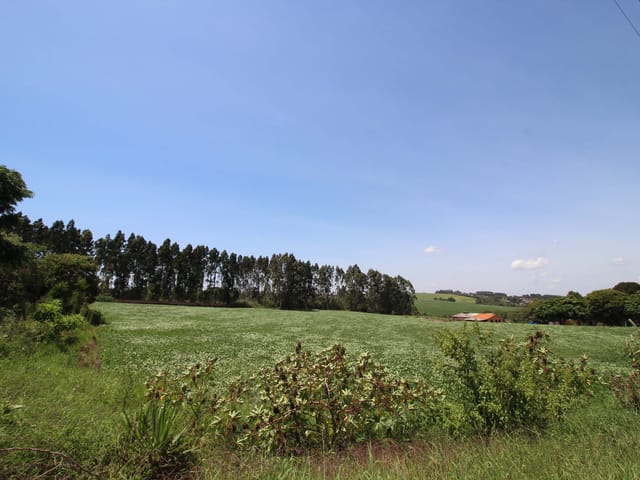 Terreno com 21561m², à venda, no bairro Chapada em Ponta Grossa