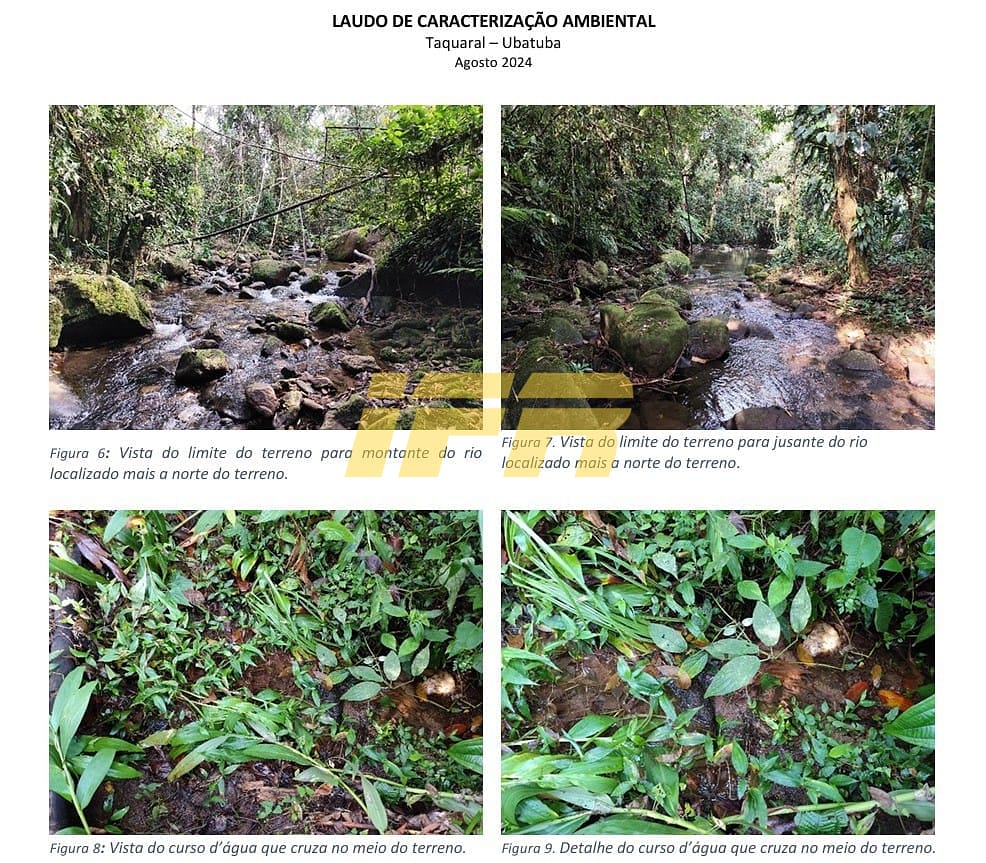 Terreno, 10000 m² - Foto 11