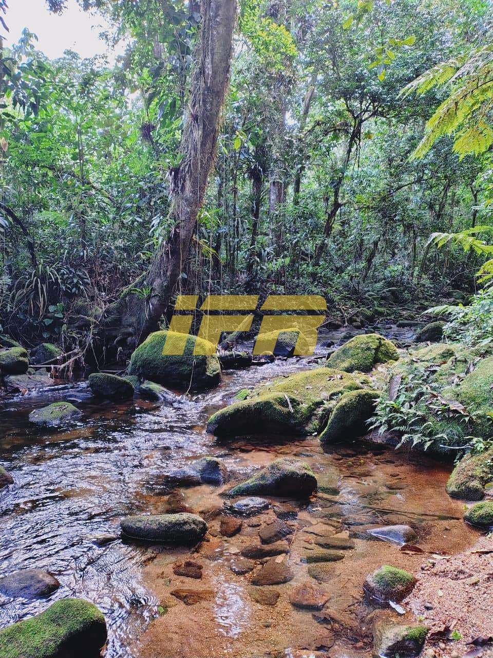 Terreno, 10000 m² - Foto 1