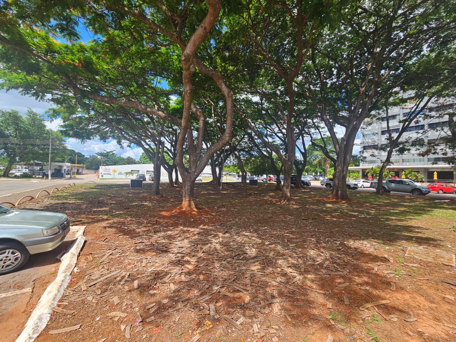 Terreno, 225 m² - Foto 7