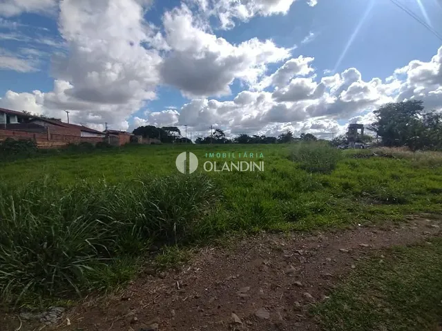 Terreno com 7000m², à venda, no bairro Área Rural de Artur Nogueira em Artur Nogueira