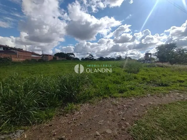 Terreno com 7000m², à venda, no bairro Área Rural de Artur Nogueira em Artur Nogueira