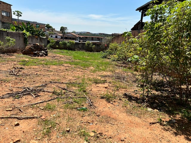 Terreno com 525m², à venda, no bairro Céu Azul em Belo Horizonte
