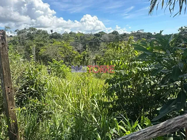 Terreno com 300m², à venda, no bairro Nossa Senhora da Vitória em Ilhéus