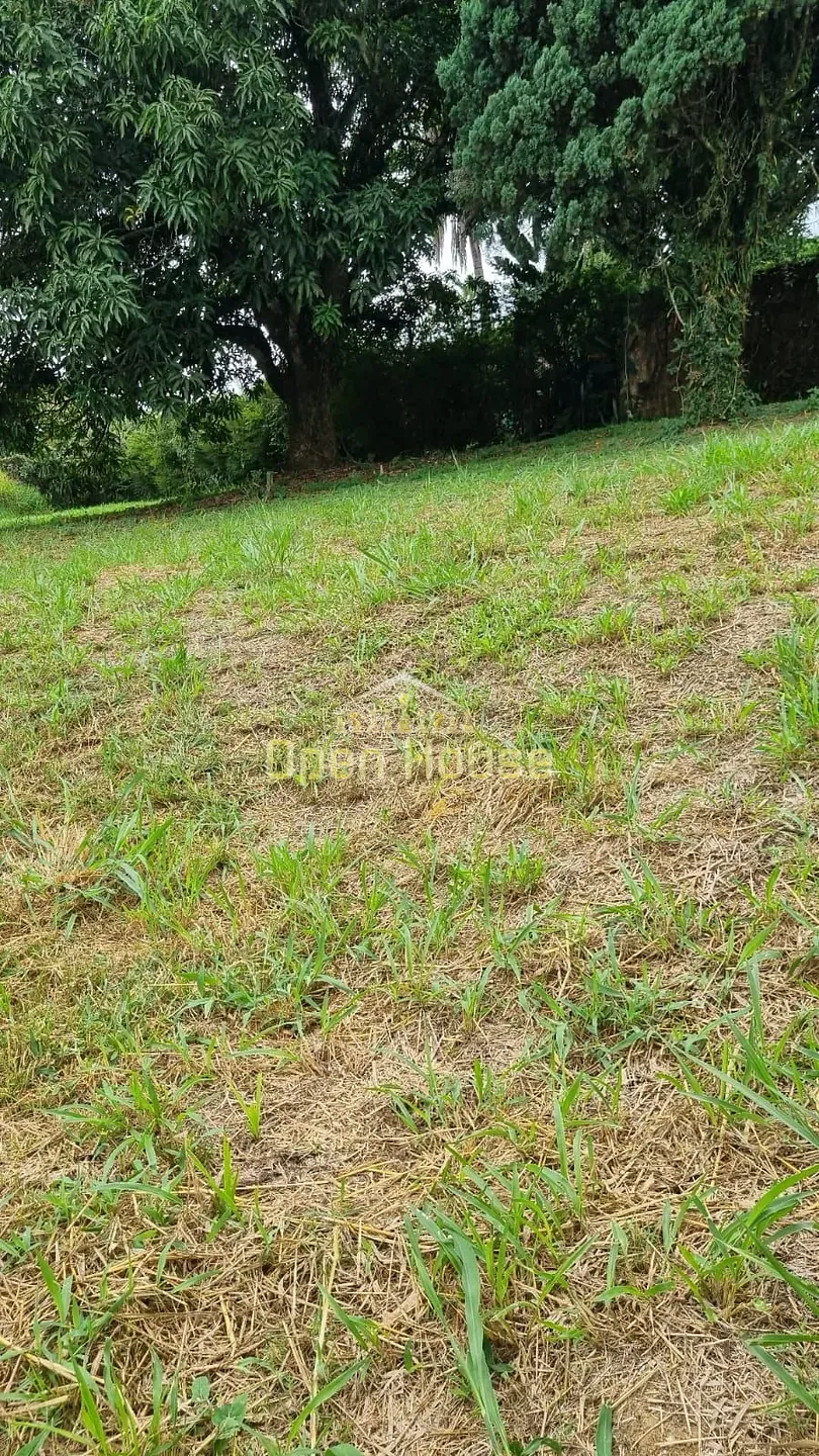 Terreno, 868 m² - Foto 12