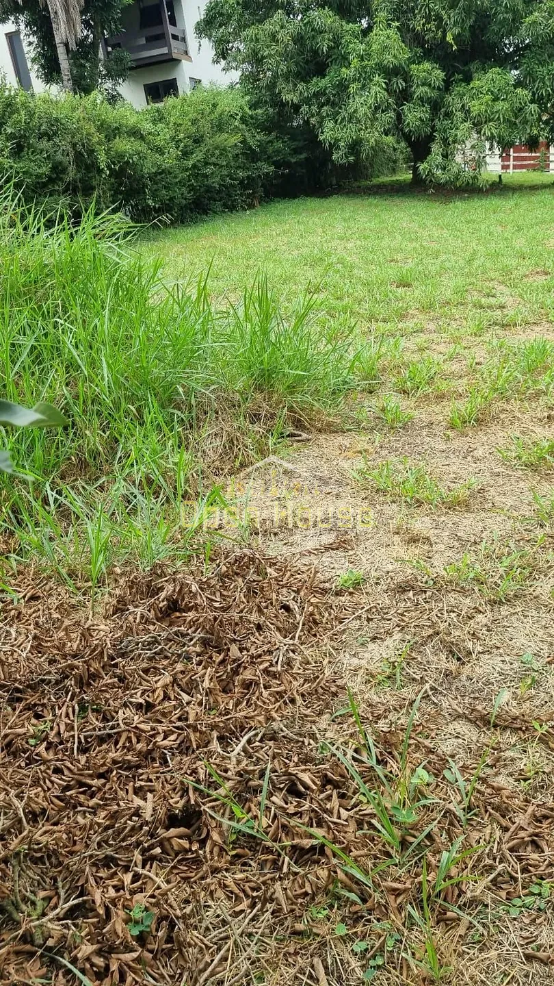 Terreno, 868 m² - Foto 6