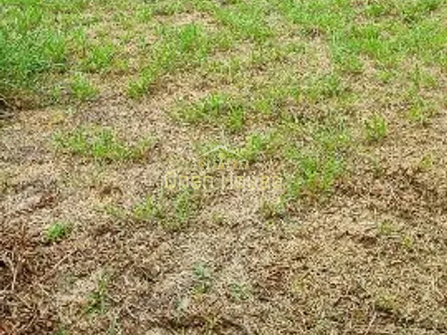 Terreno com 869m², à venda, no bairro Jardim Martinelli (Penedo) em Itatiaia