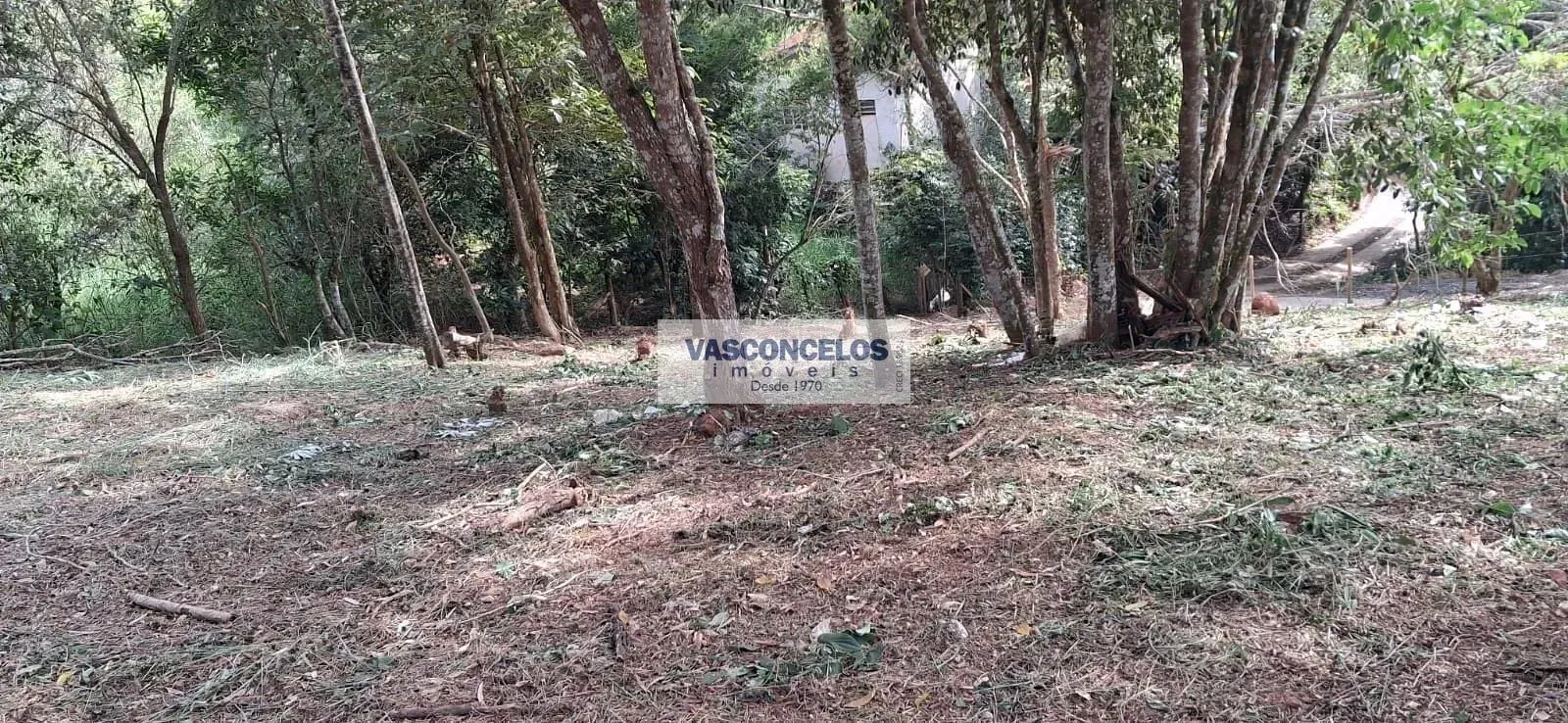 Terreno, 500 m² - Foto 3