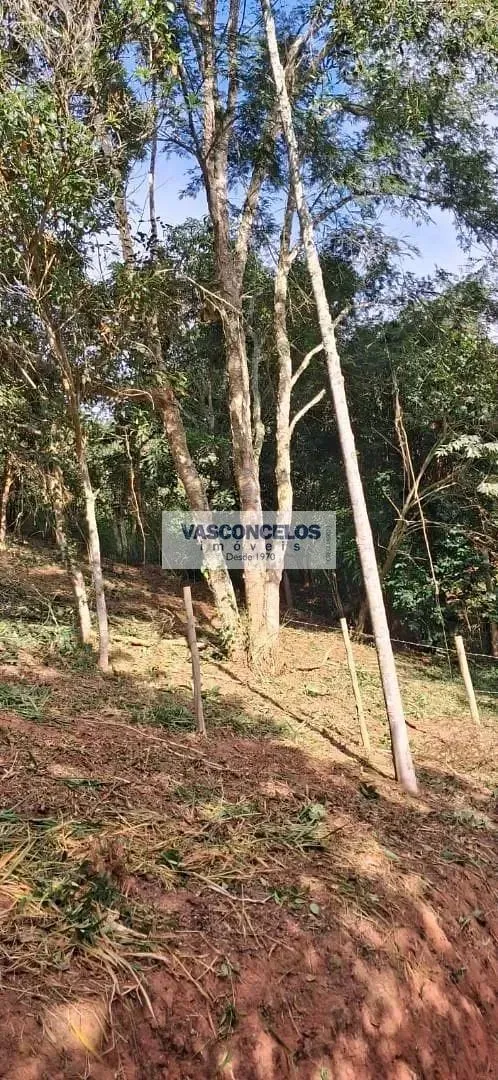 Terreno, 500 m² - Foto 4