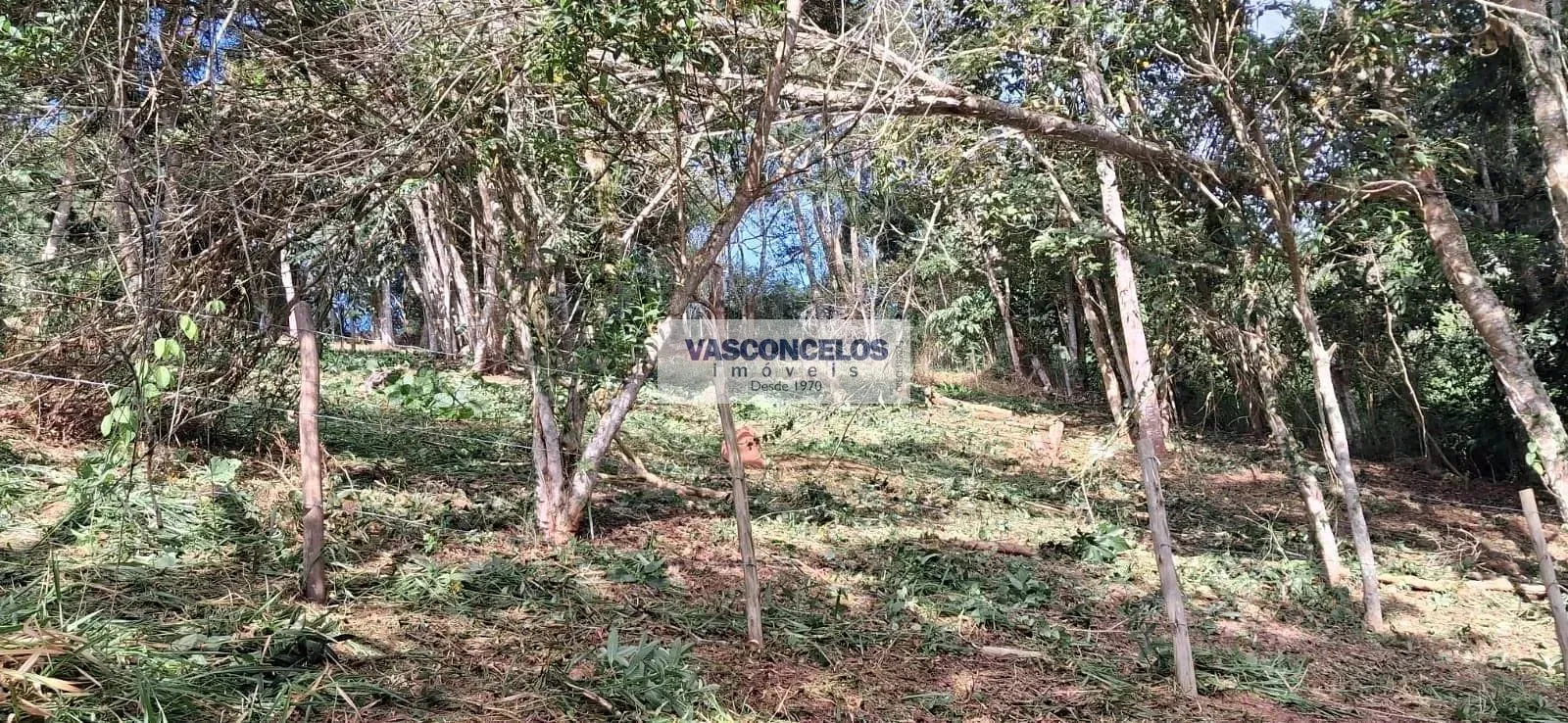 Terreno, 500 m² - Foto 1