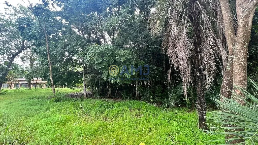 Terreno, 1387 m² - Foto 14