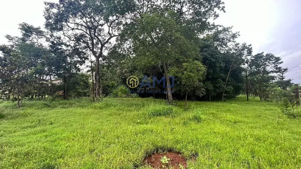 Terreno, 1387 m² - Foto 18
