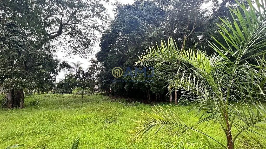 Terreno, 1387 m² - Foto 15
