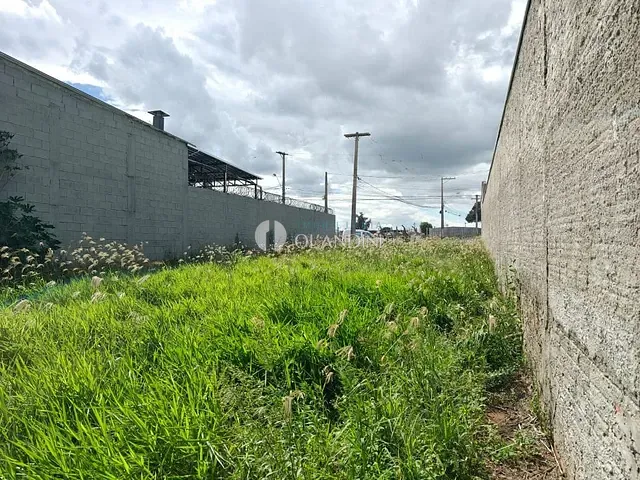 Terreno com 337m², à venda, no bairro Nosso Recanto em Artur Nogueira