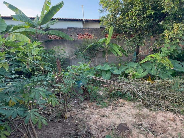 Terreno com 200m², à venda, no bairro Santa Clara em Campinas